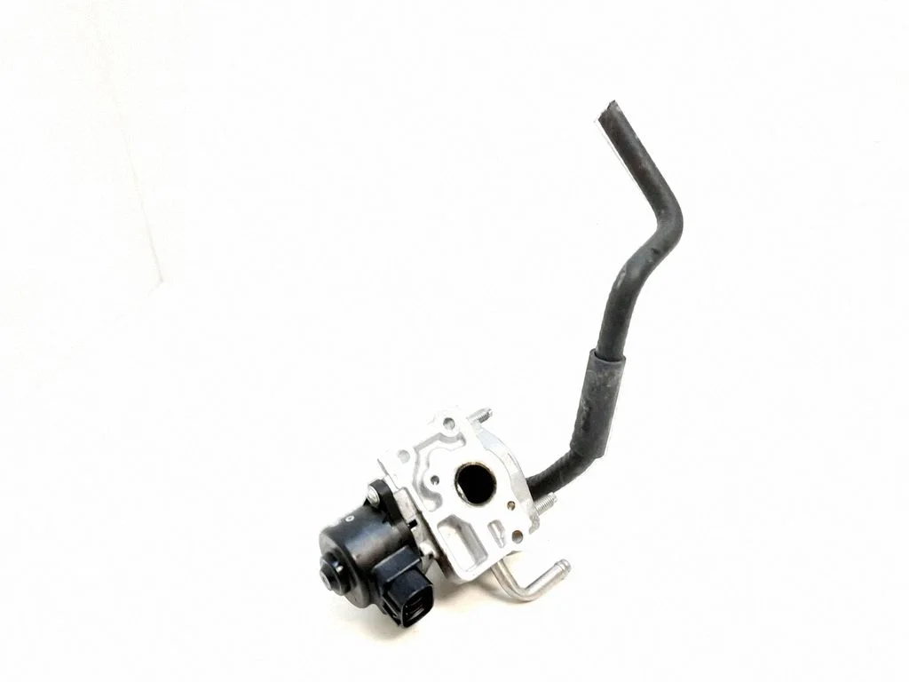 EGR valve 2562036060