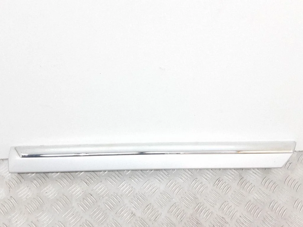 Rear door trim (molding) 30791067