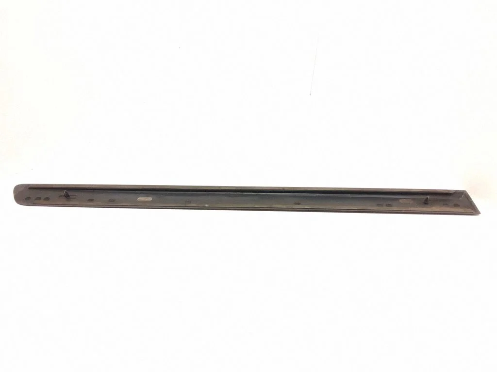 Rear door trim (molding) 09187734