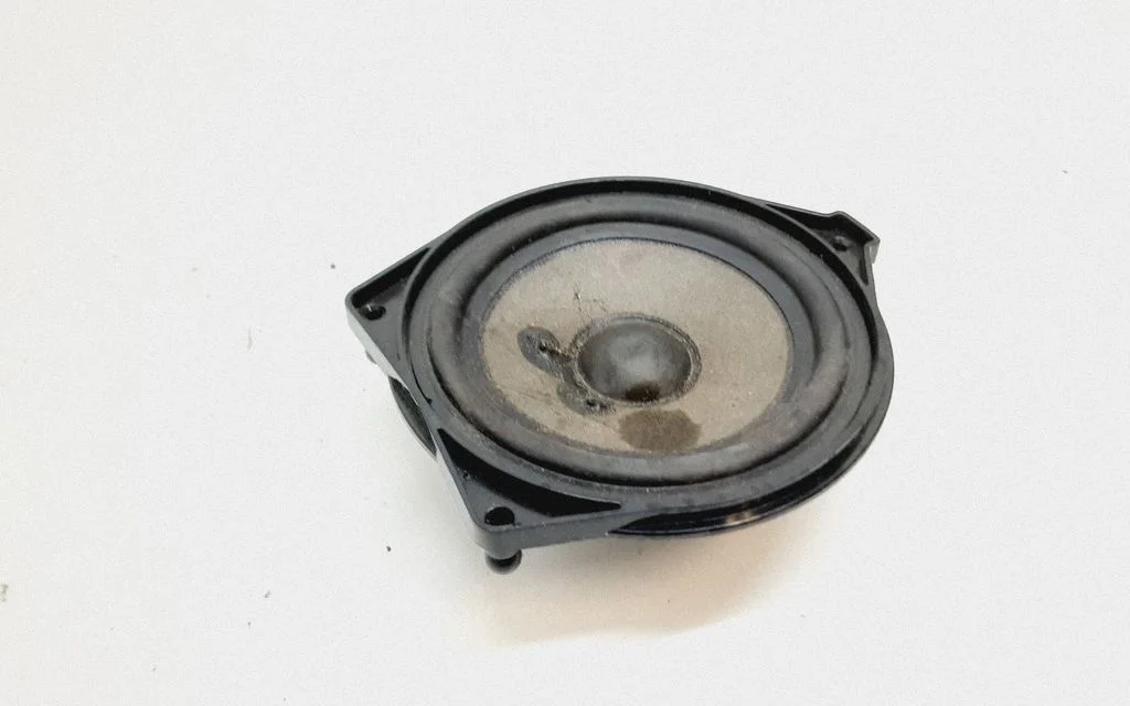 Front door speaker A2058200902