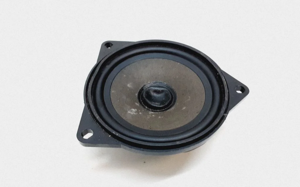Front door speaker 3428196