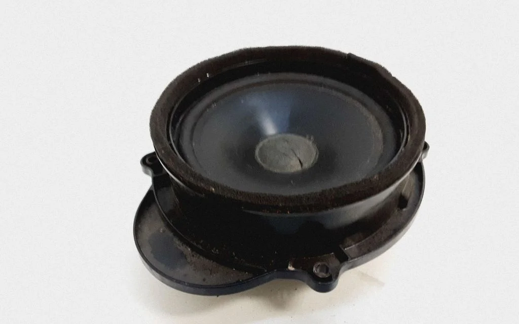Front door speaker 165JM054