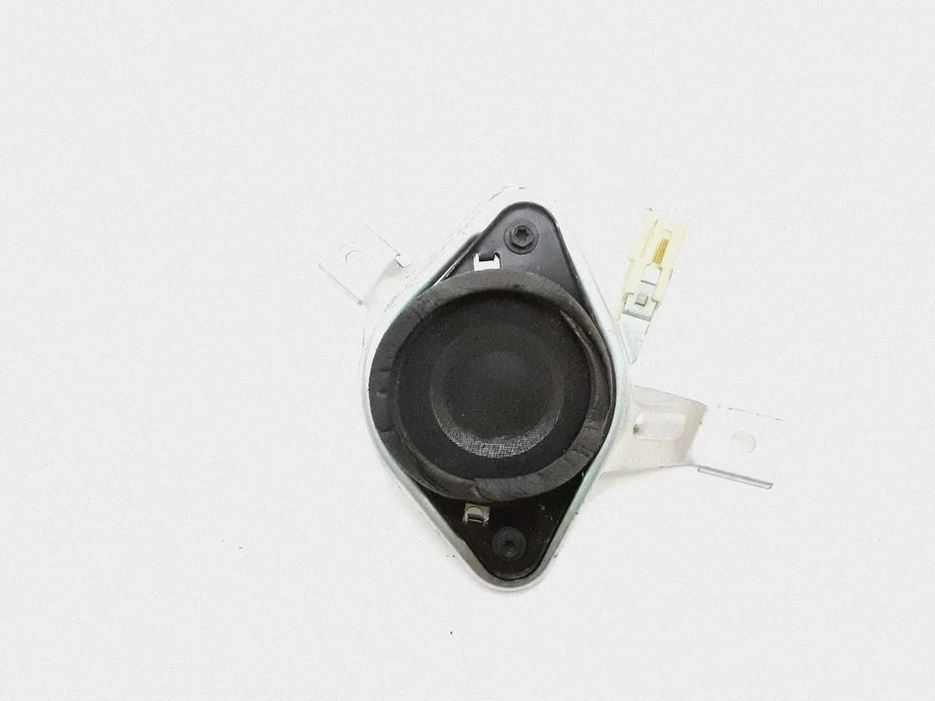 Front door speaker 861600WF30