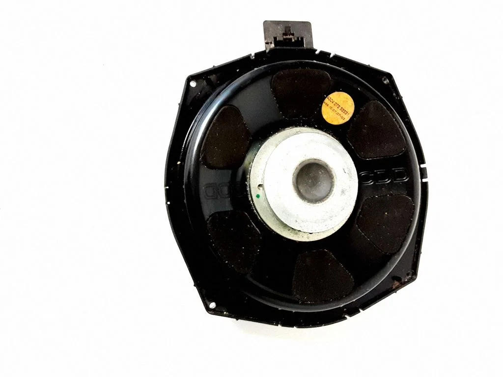 Subwoofer speaker – BMW X5 E70 (2006-2013)