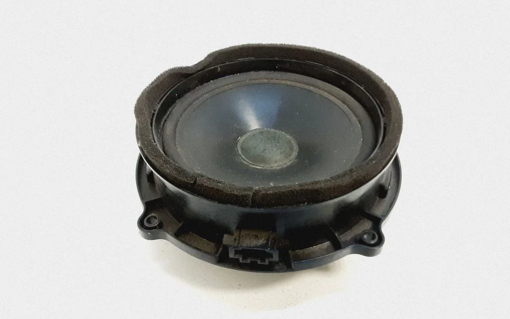 Rear door speaker 165JM055