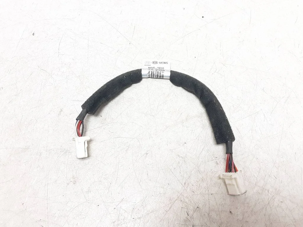 Other wiring loom 96545D9000