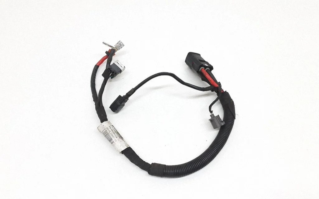 Other wiring loom 31499227