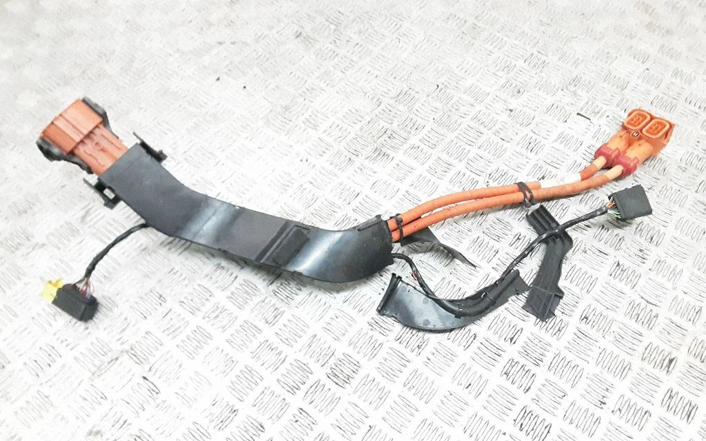 Other wiring loom 31674022