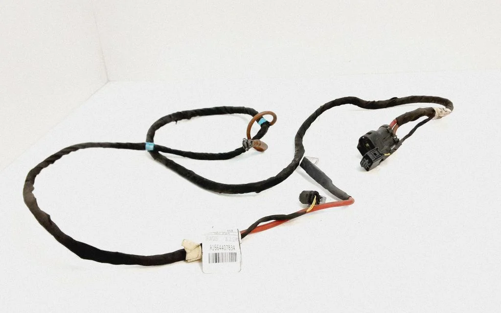 Other wiring loom A1664407834