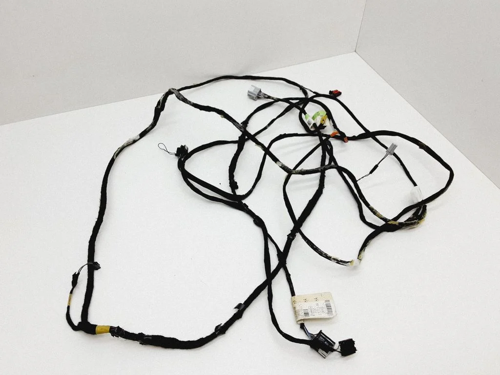 Other wiring loom FG9T17C712