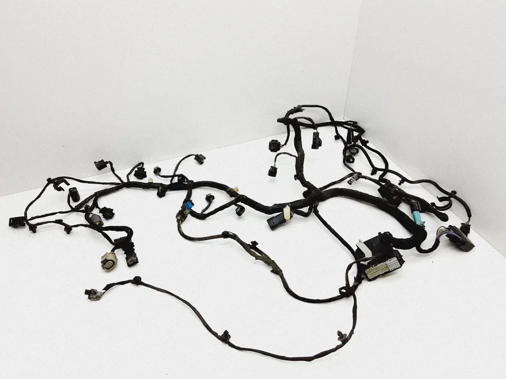 Other wiring loom