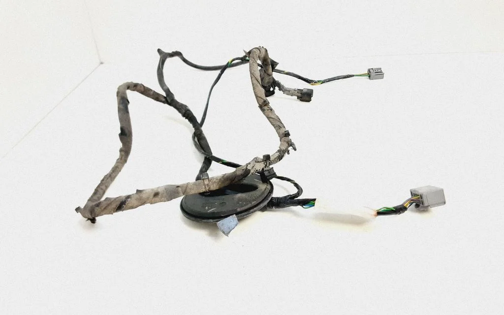 Other wiring loom 30798843