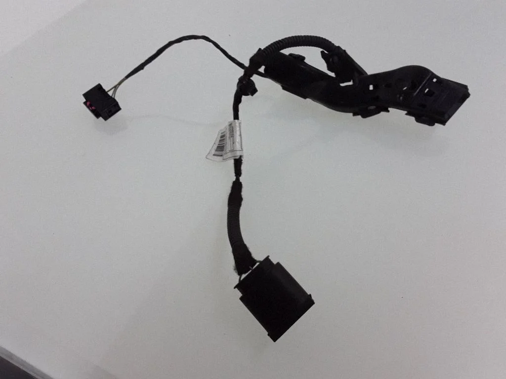 Other wiring loom