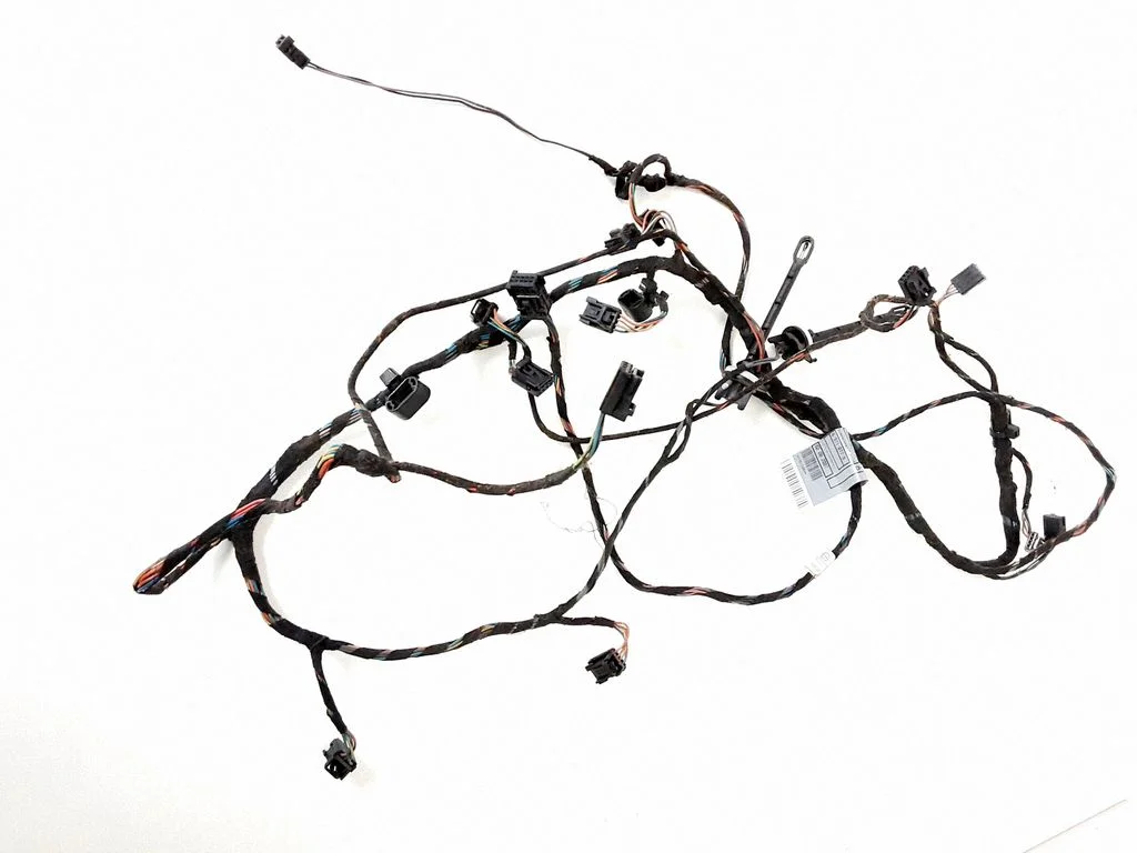 Other wiring loom 69710779