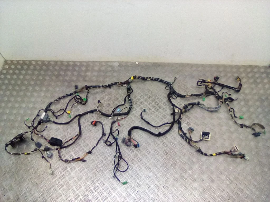 Other wiring loom