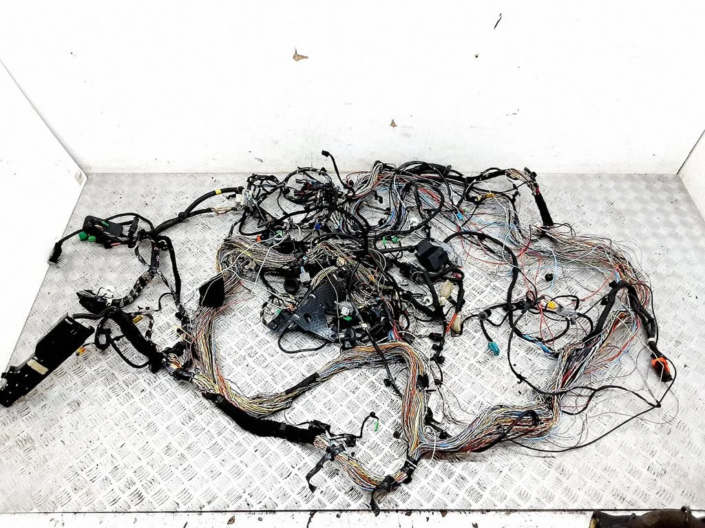 Other wiring loom