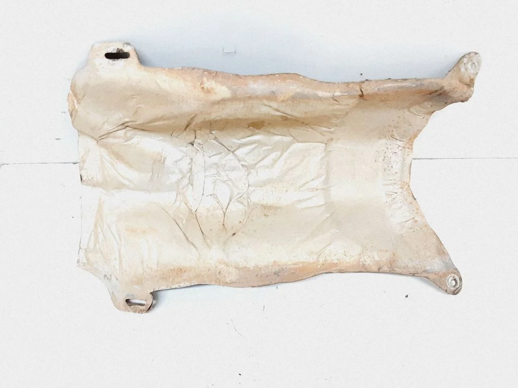 Exhaust heat shield