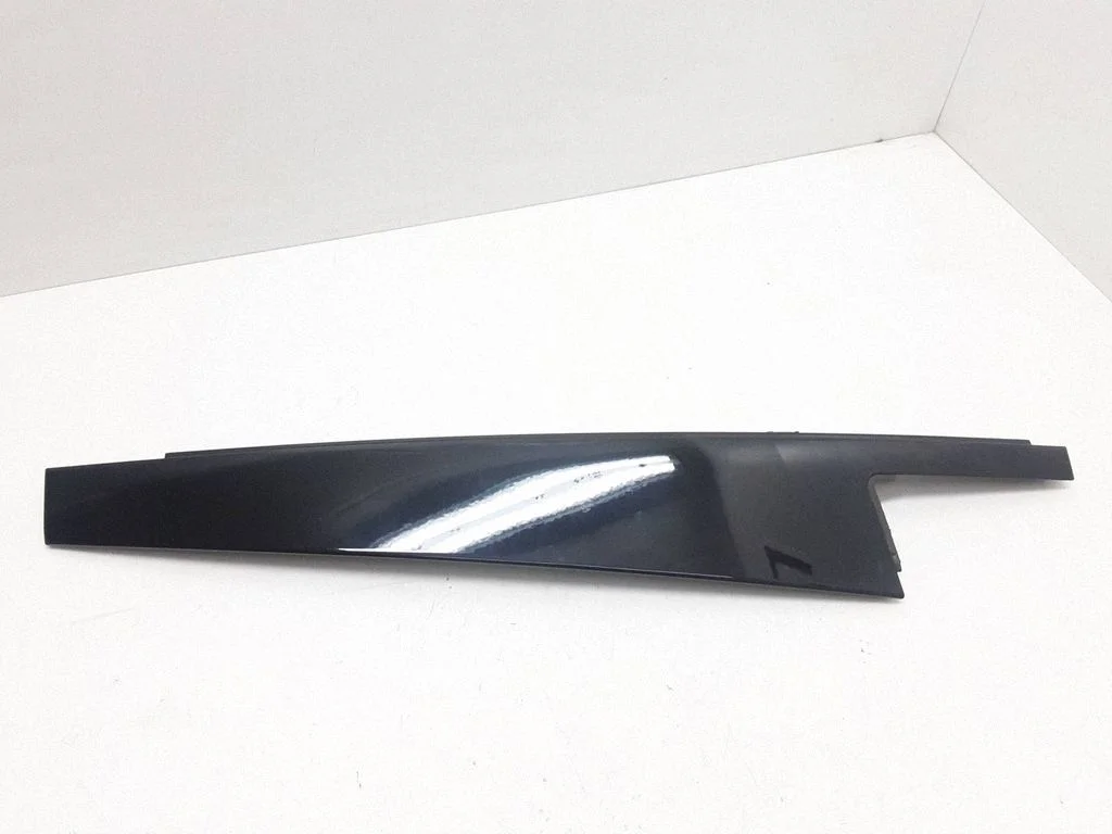 Listwa szyby drzwi tylnych 7289653