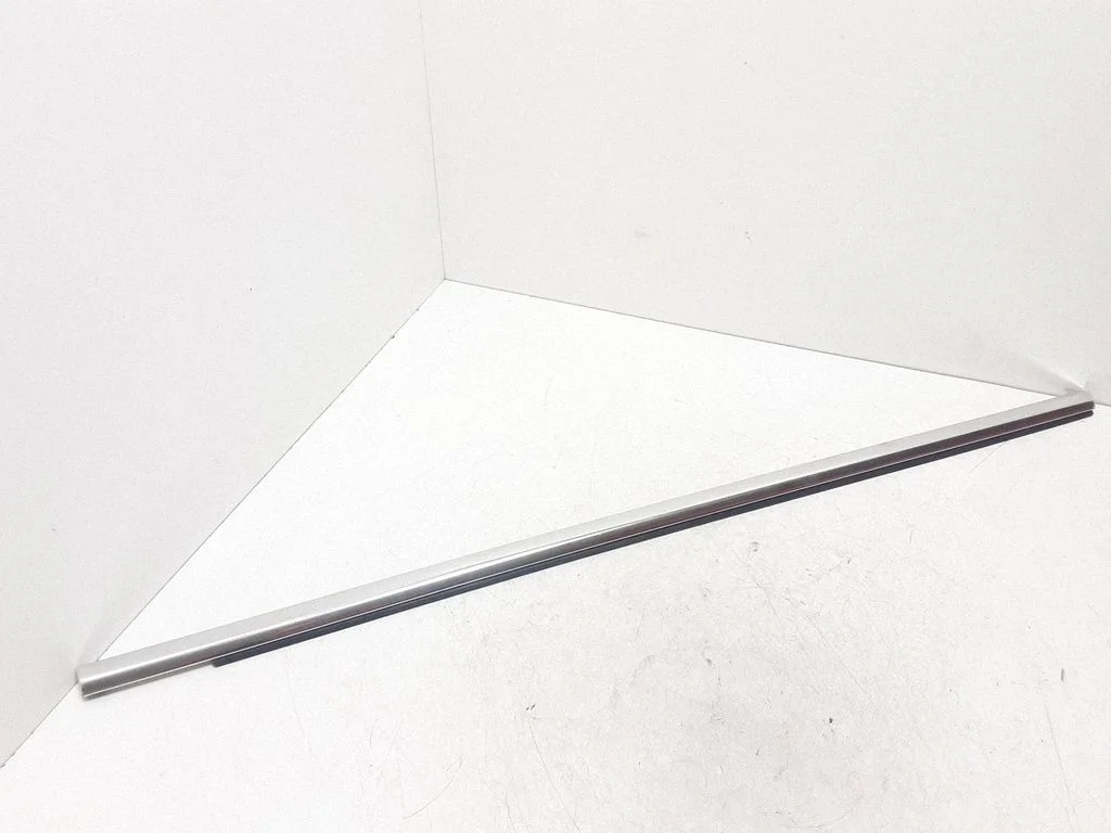 Rear door glass trim molding 31301007