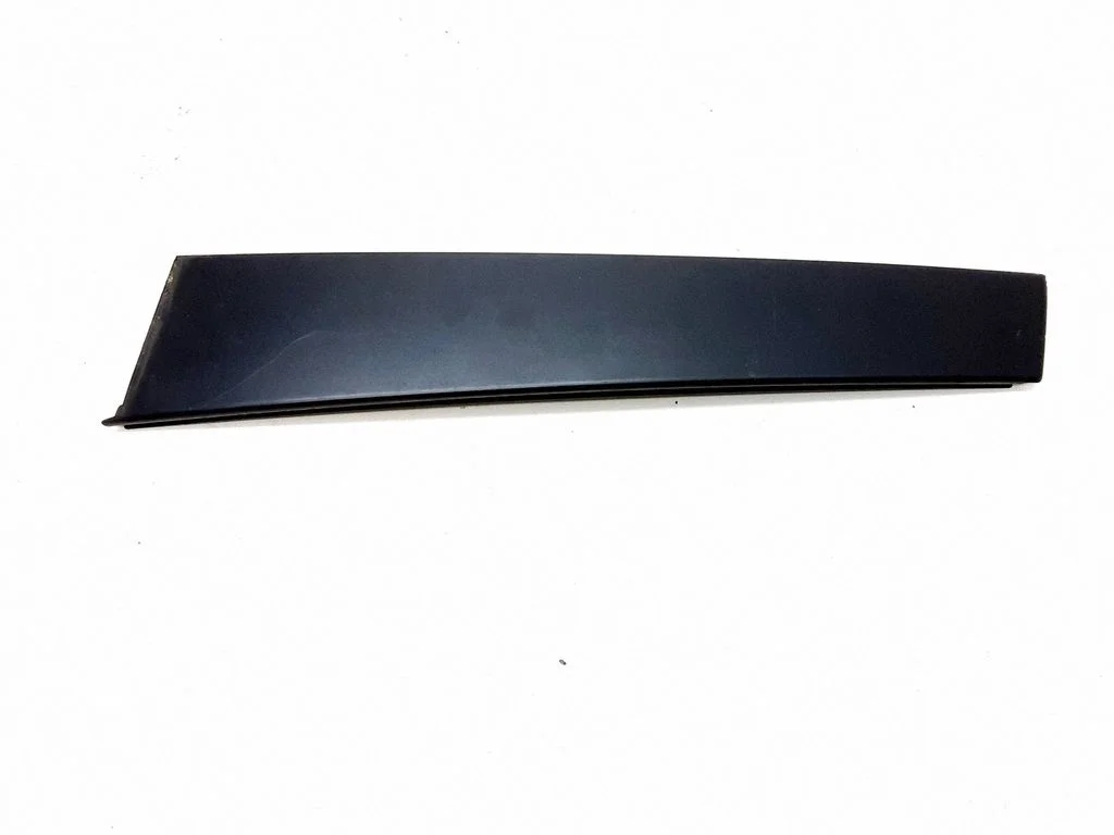 Rear door glass trim molding 08622654