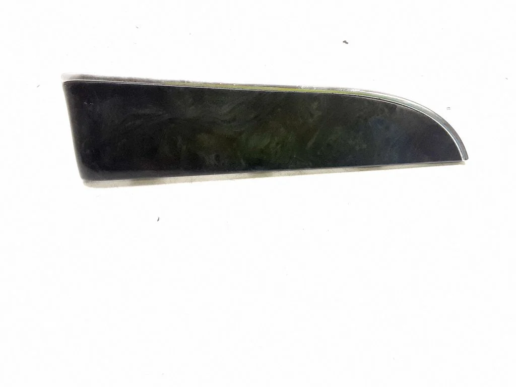 Panel trim L0201301AA