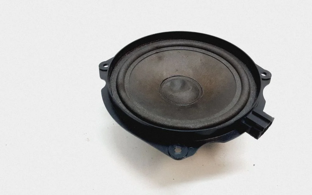Front door speaker 3450757