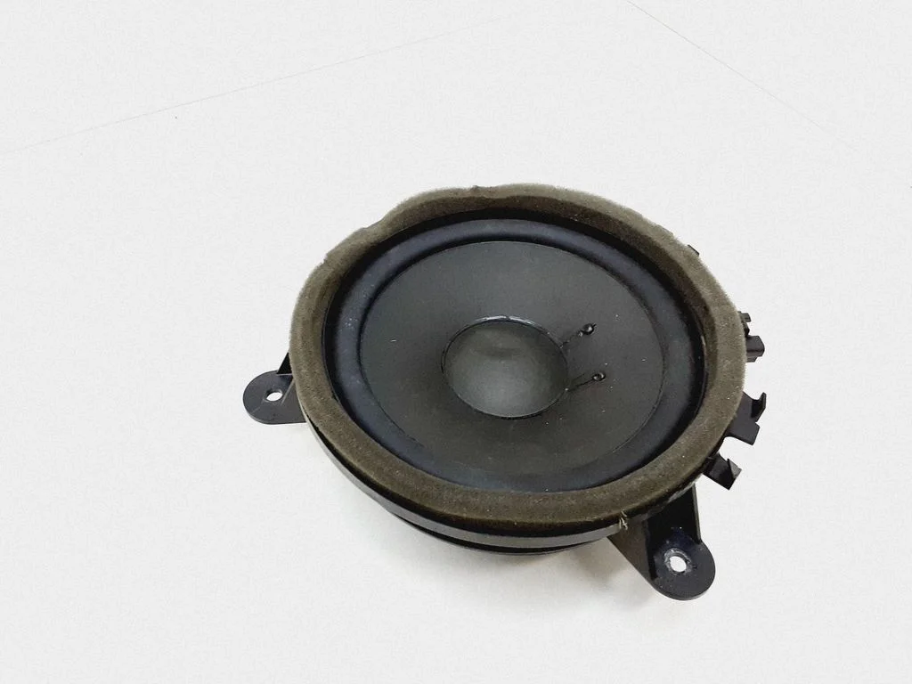 Głośnik w drzwiach tylnych 30657445