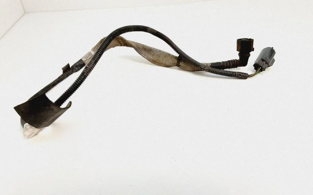 Other wiring loom 31254373