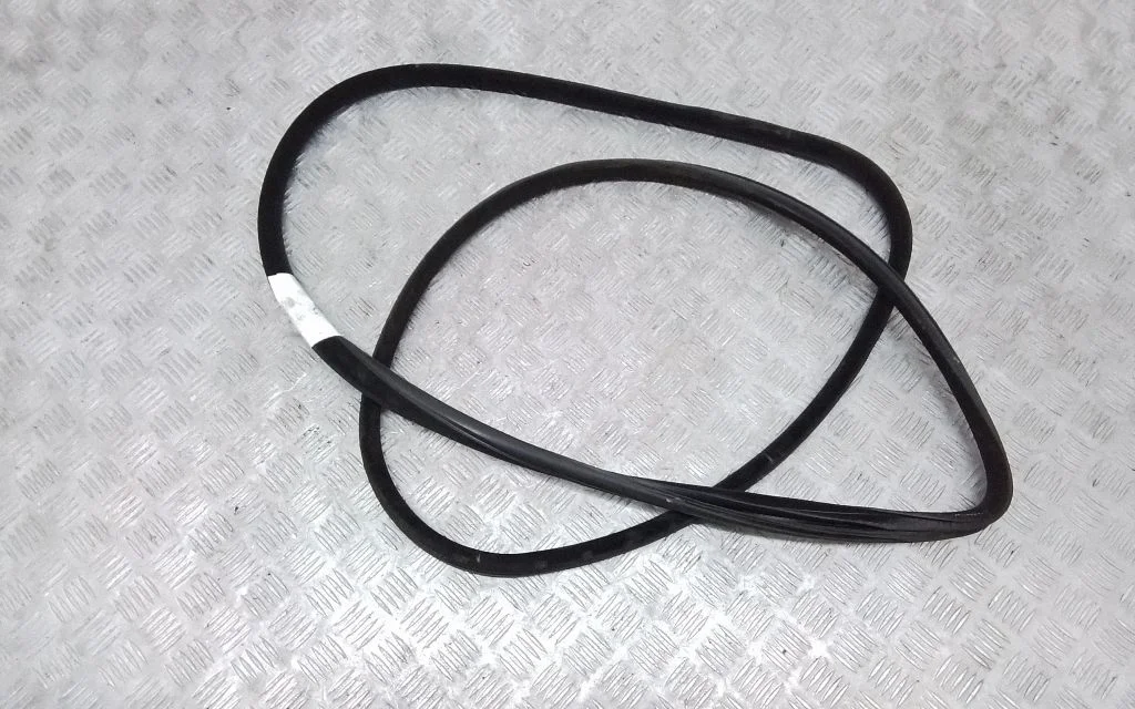 Front door rubber seal – front left