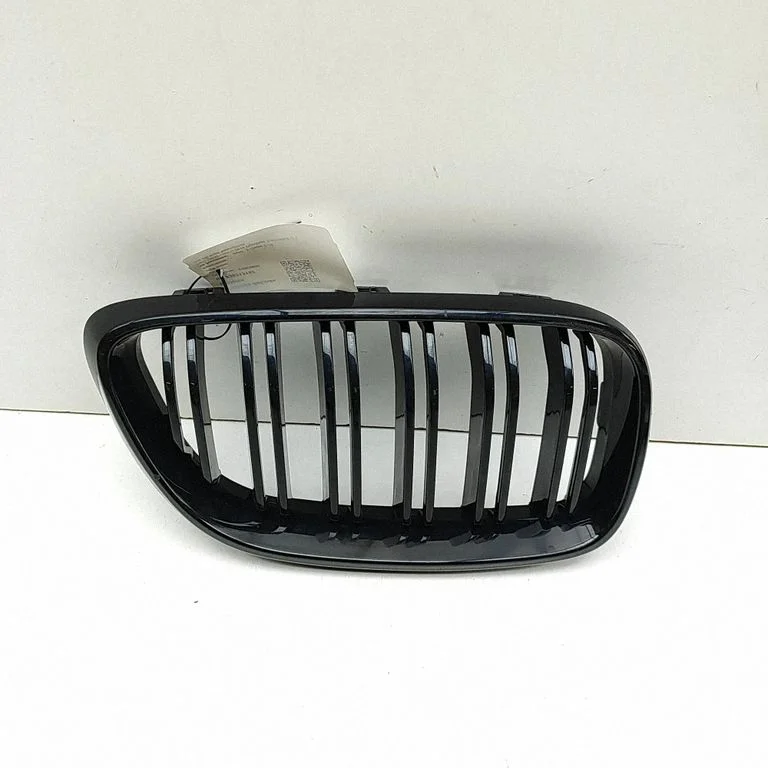 Front grill 5A3D004
