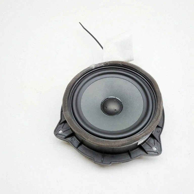Skaļrunis (-ņi) aizmugurējās durvīs