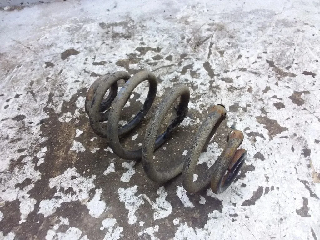 Rear coil spring