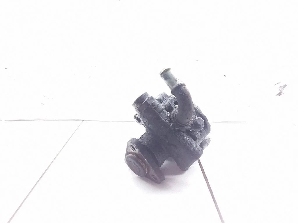 Roolivõimendi pump – Volkswagen Passat B5.5 (2001-2005)