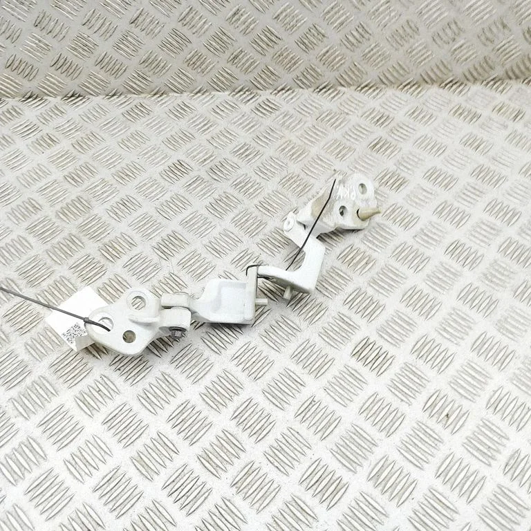 Front door hinges set BK31V22811AF