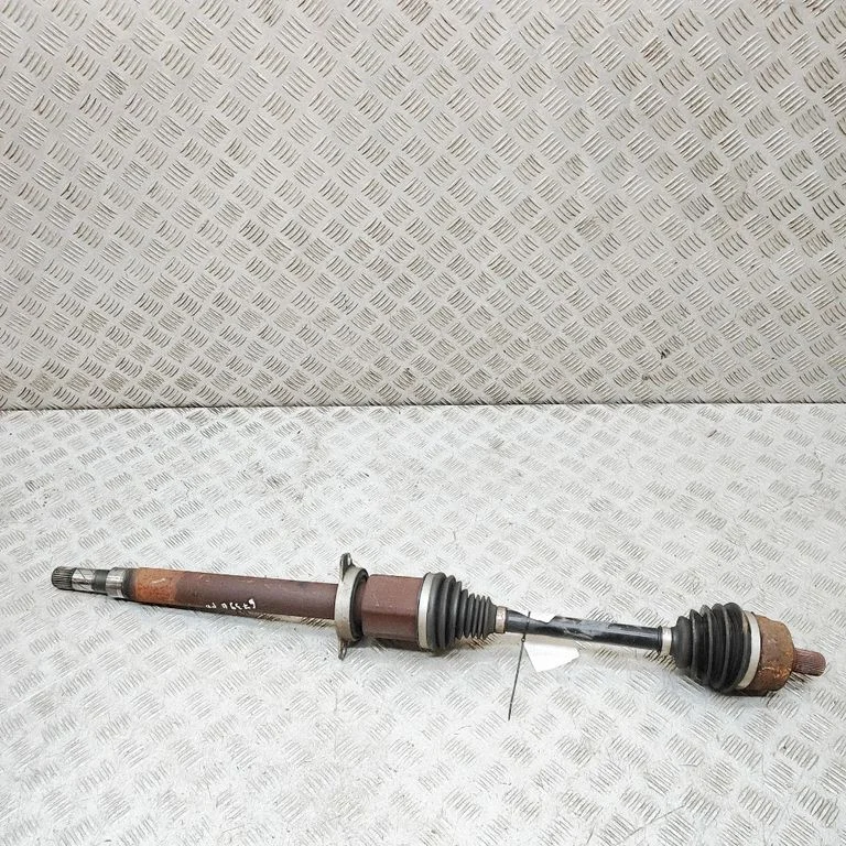 Priekšējā pusass 32240093