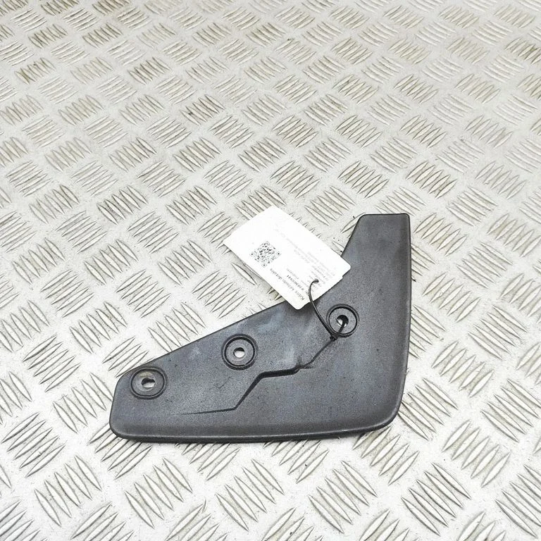 Aizmugurējais dubļusargs 31469591