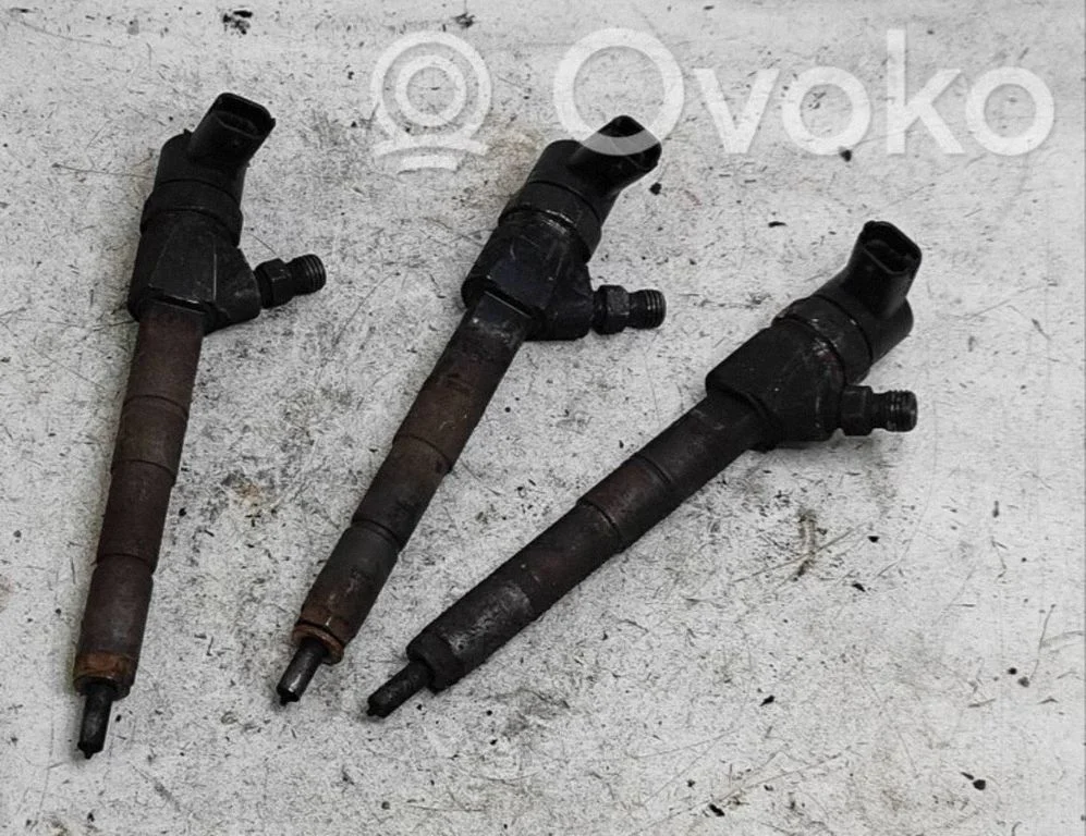 Pihustite (düüside) komplekt – Opel Vectra C (2002-2005)