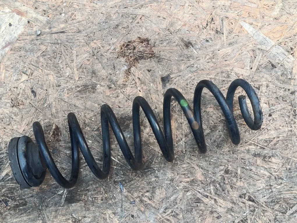 Rear coil spring
