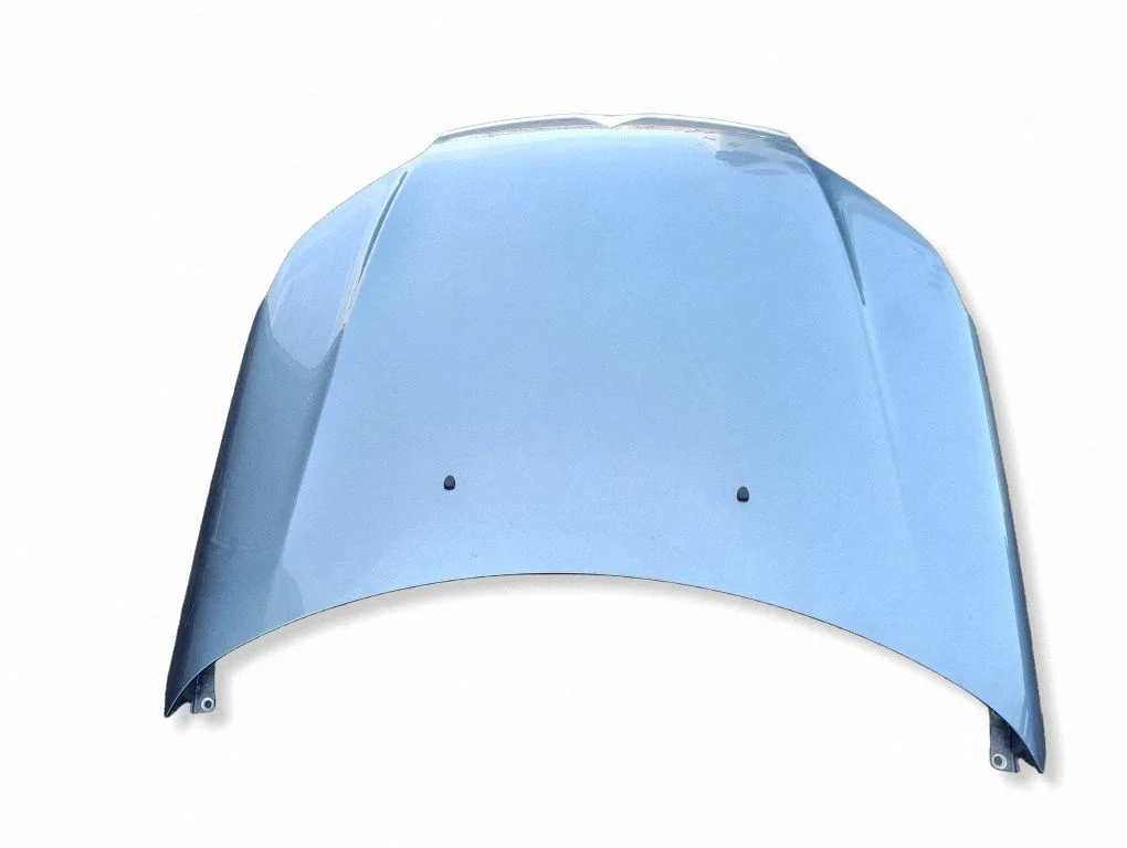 Engine bonnet/hood