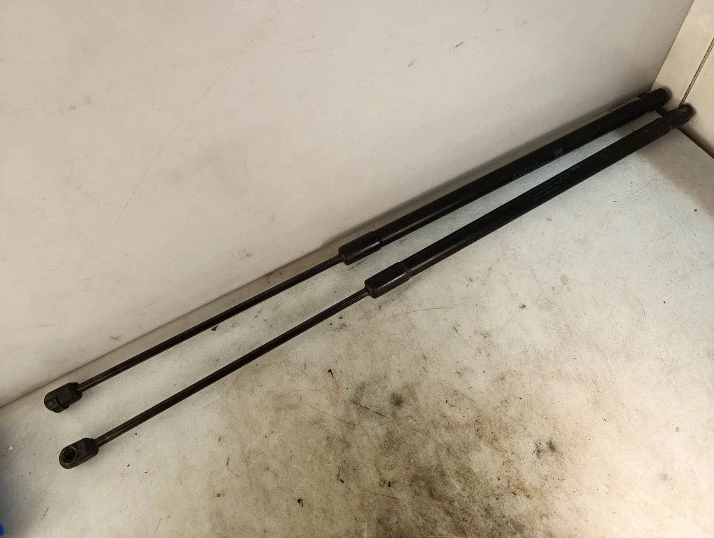 Front bonnet/hood damper/strut A2048800029
