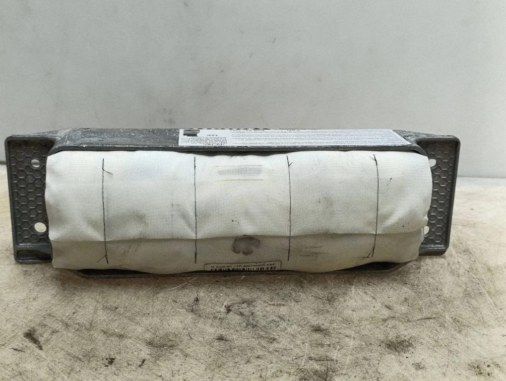 Passenger airbag 3R0880204