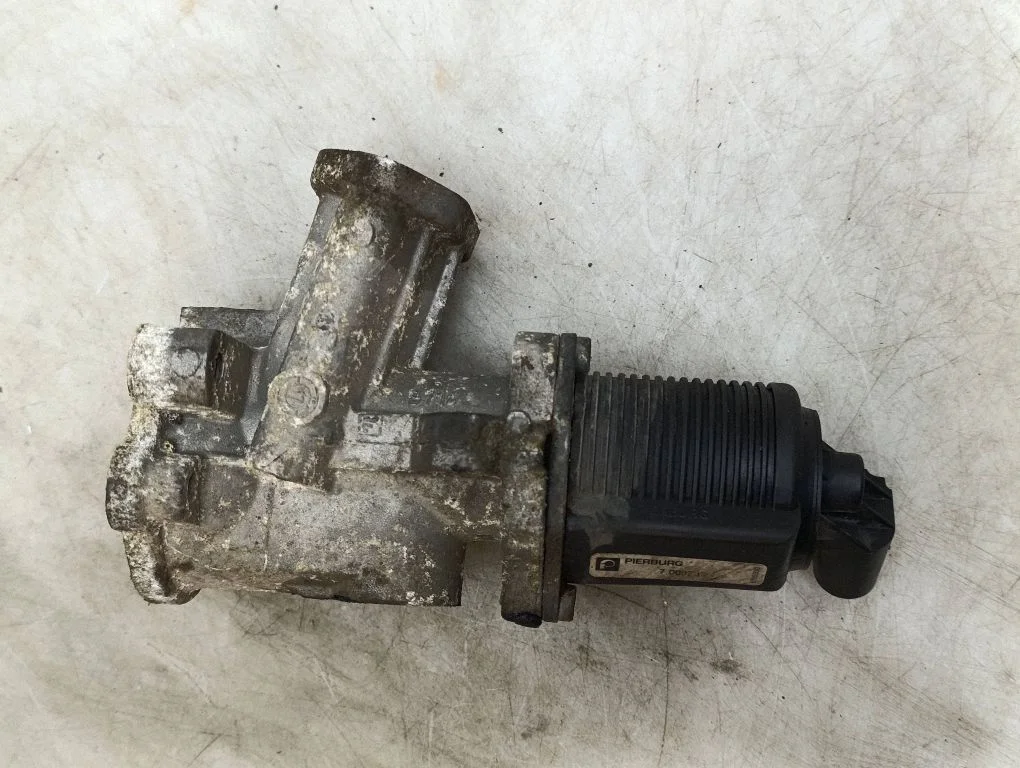 EGR-klapp 700020240