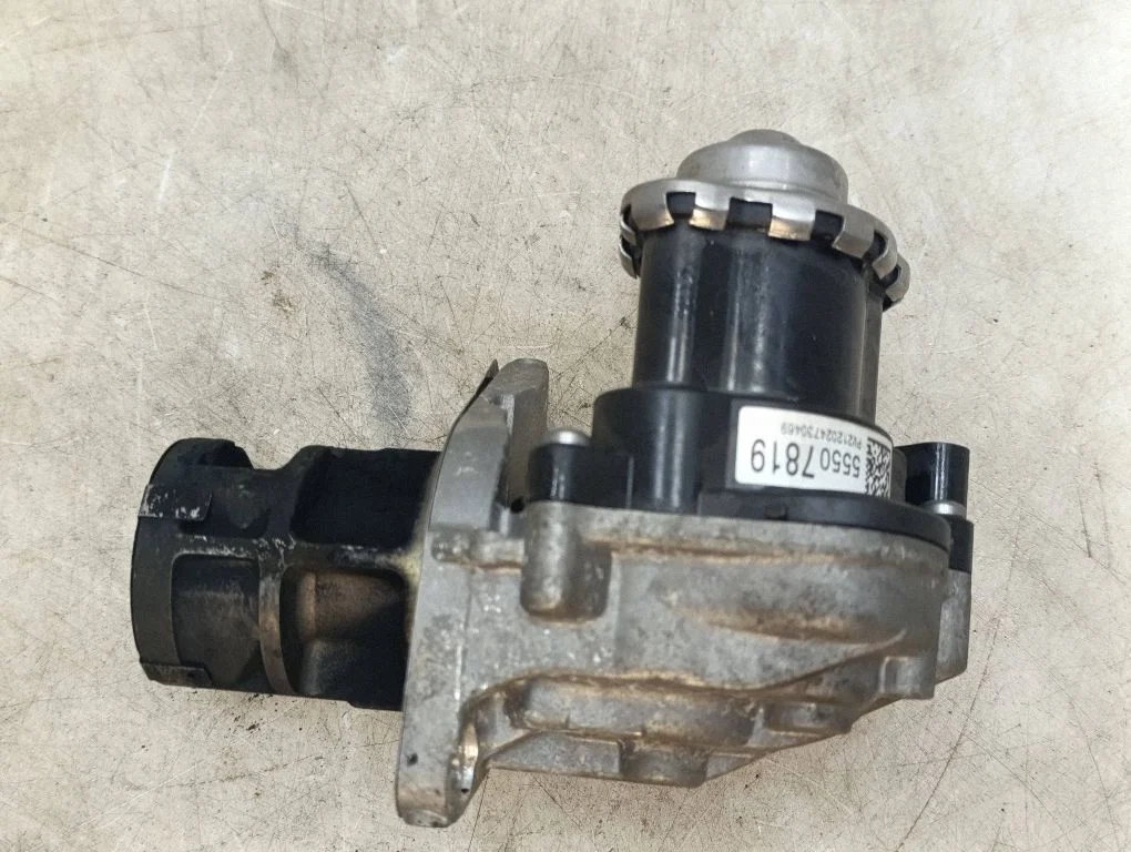 EGR-klapp 55507819