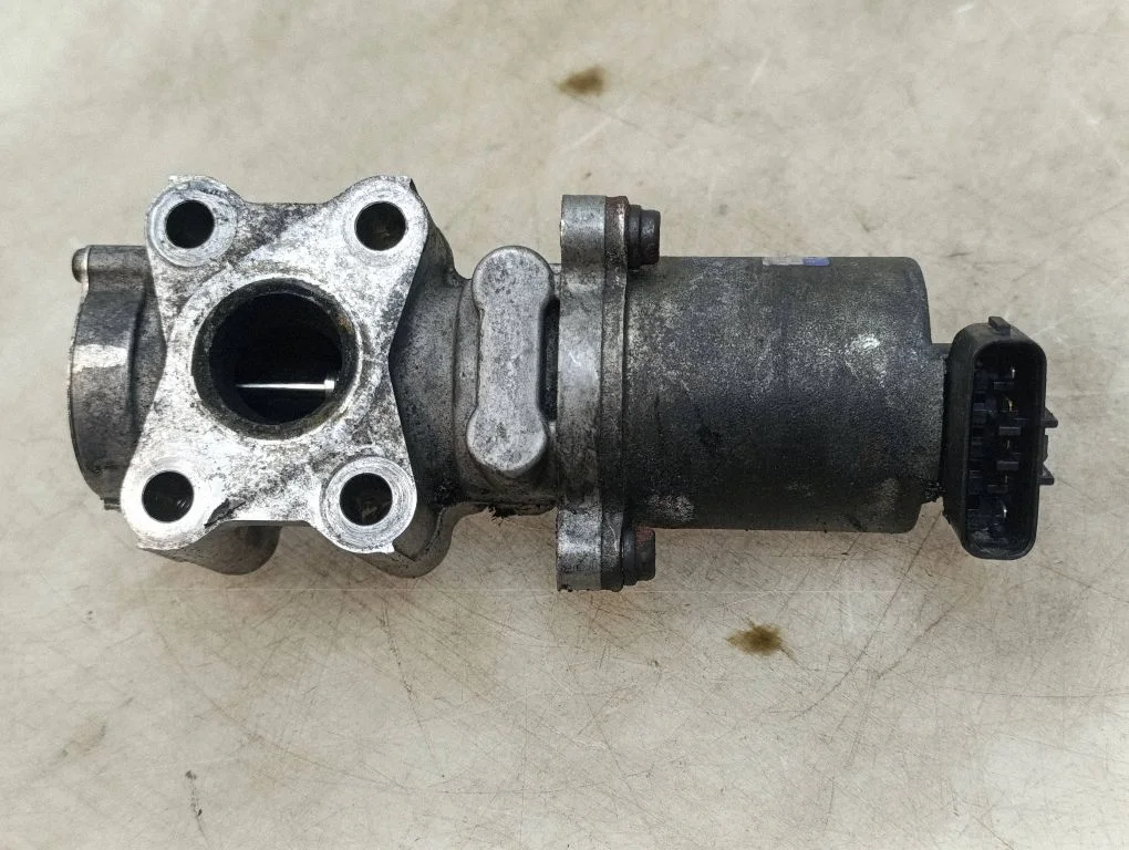 EGR-klapp 256200R012