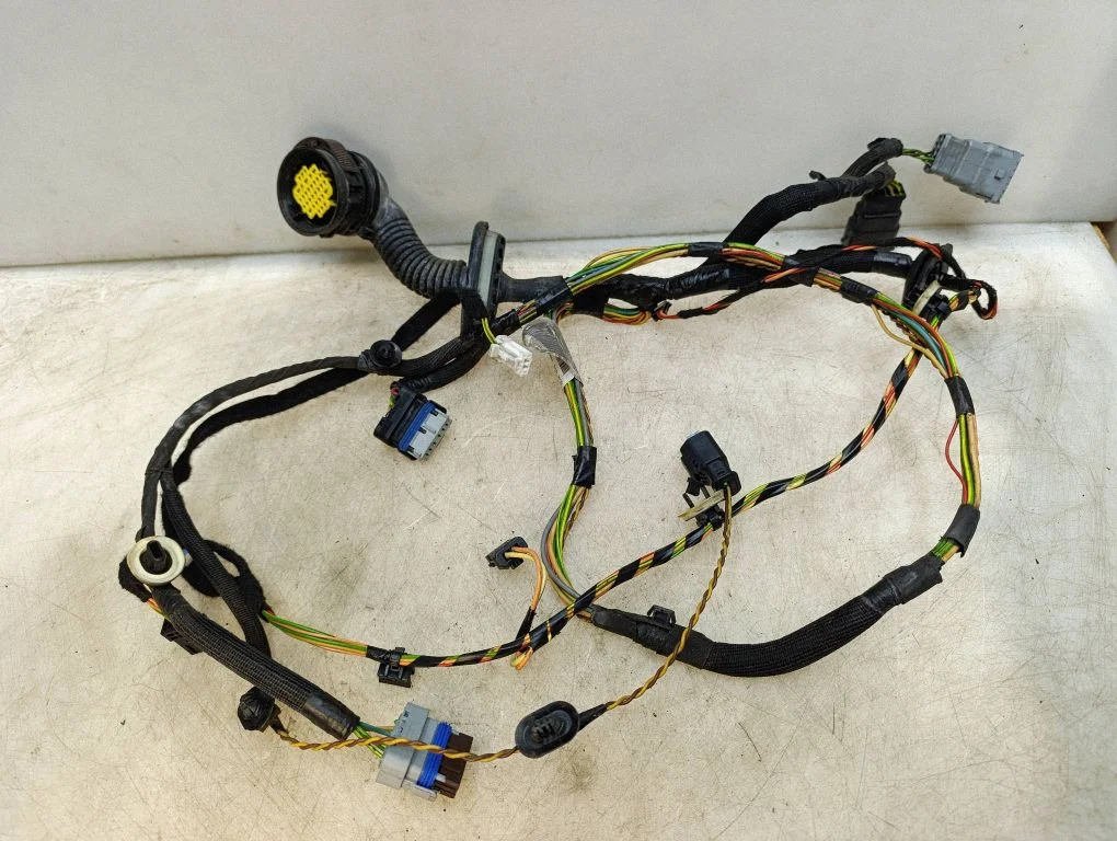 Front door wiring loom 9808738980