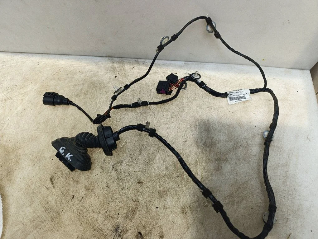Rear door wiring loom 3R0971687