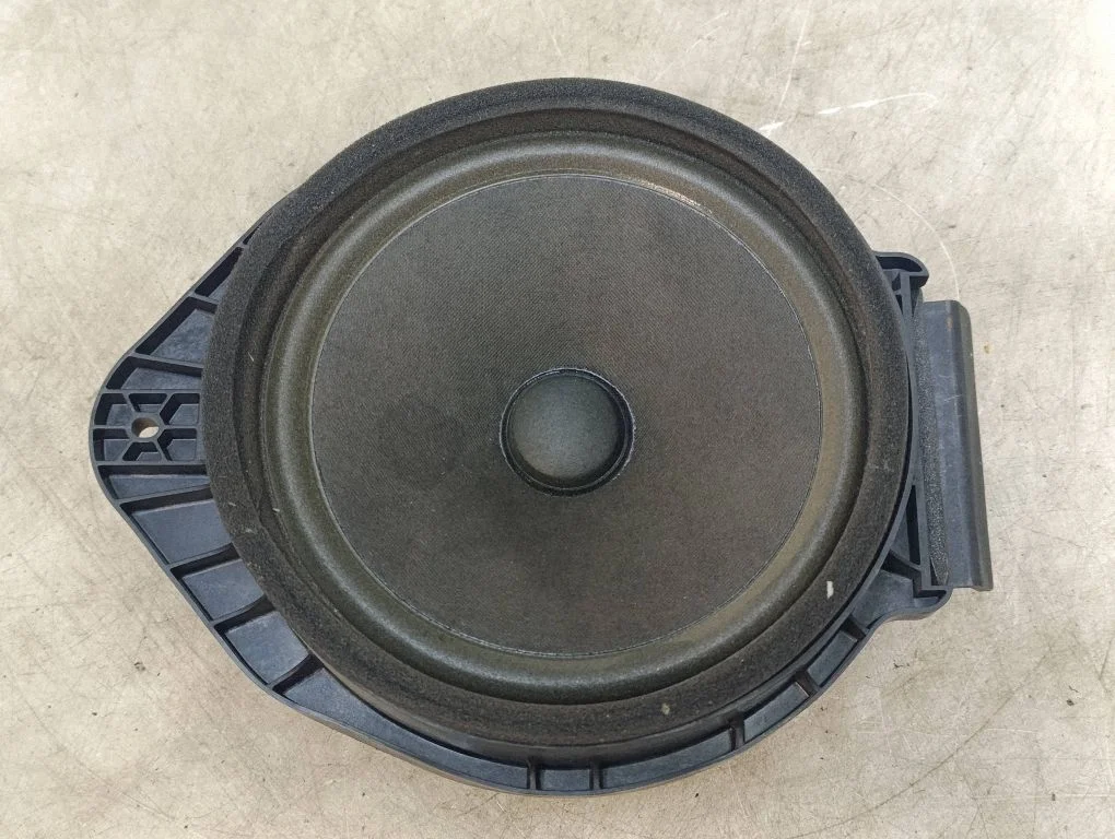 Front door speaker
