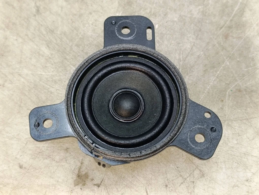Panel speaker – Ford Mustang Mach-E (2020-)