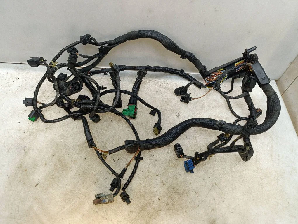 Engine installation wiring loom V754806480
