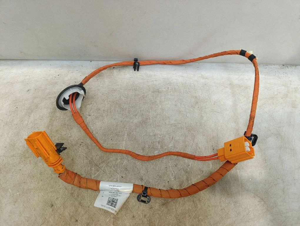 Other wiring loom 1EA971475C
